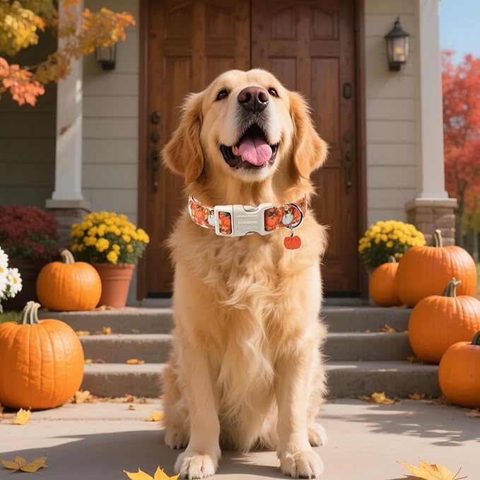DOGWONG Fall Pumpkin Dog Collar- Cute Daisy Pumpkin Dog Collars Adjustable - Image 5