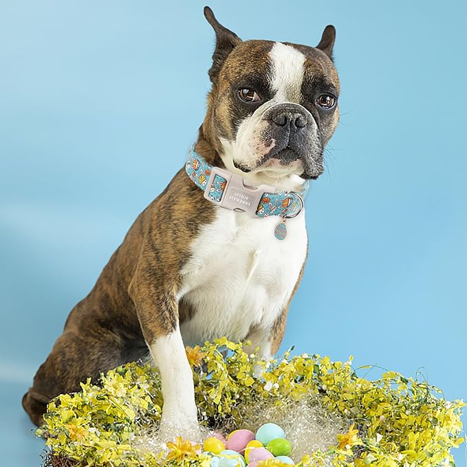 Unique style paws Easter Dog Collar Plastic Buckle Puppy Collar - Image 5
