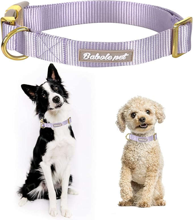 Nylon Dog Collar - Image 2
