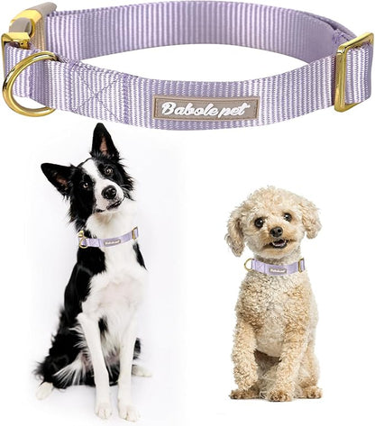 Nylon Dog Collar - Image 2