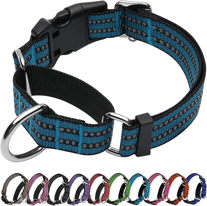 Martingale Dog Collar, Adjustable Nylon Reflective Collar by JOYEEIIOO