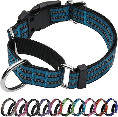 Martingale Dog Collar, Adjustable Nylon Reflective Collar by JOYEEIIOO
