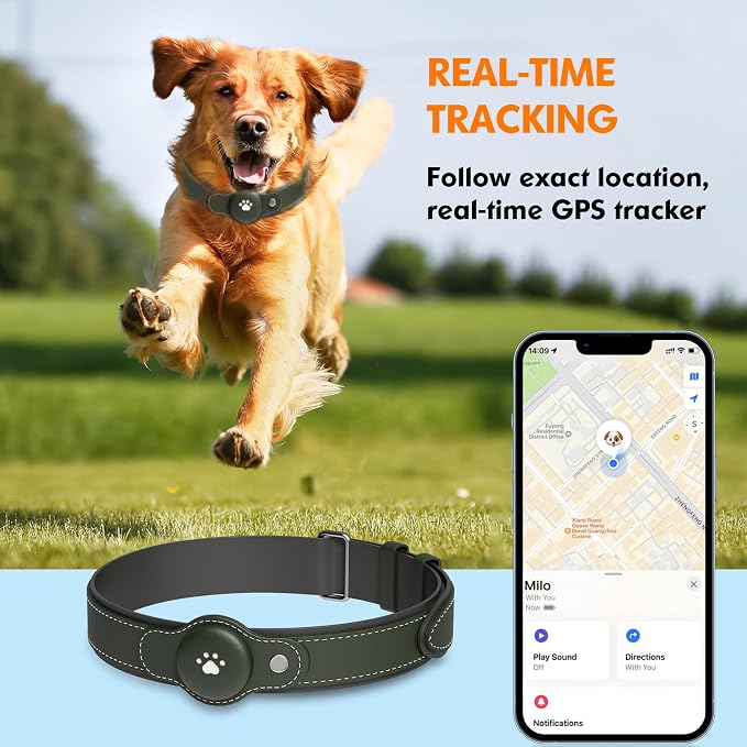 2-in-1 GPS Tracker for Dogs: Smart Collar - Image 2