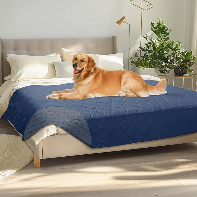 Luciphia 100% Waterproof Couch Cover Blanket by luciphia