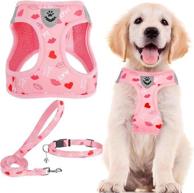 PUPTECK Adjustable Dog Harness Collar and Leash Set Step in No Pull Pet Harness by PUPTECK