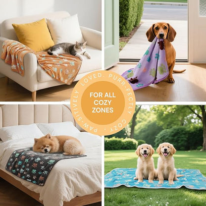 Luciphia 1 Pack 6 Dog Blankets Cat Soft Fluffy Fleece Pet Blanket Warm Cute - Image 3