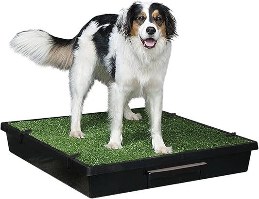 PetSafe Pet Loo Indoor Pet Toilet, Portable Dog Potty Station, Grass Pad Tray by PetSafe