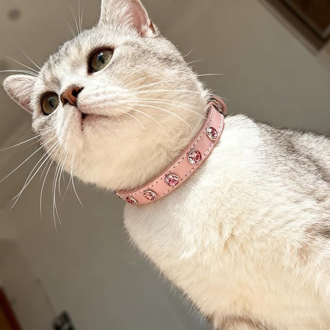 EXPAWLORER Leather Cat Collar for Girl Boy- Adjustable Pet Collar - Image 6