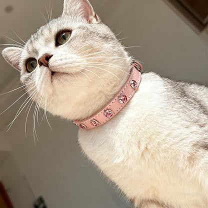 EXPAWLORER Leather Cat Collar for Girl Boy- Adjustable Pet Collar - Image 6