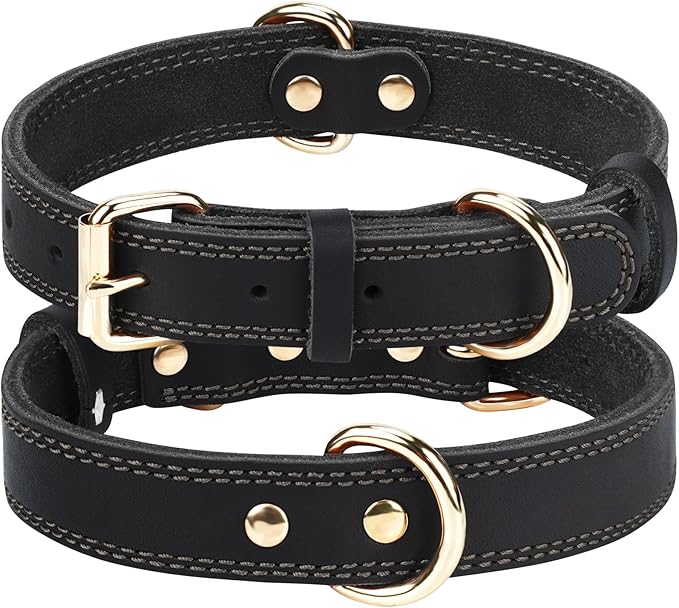 Joytale Genuine Leather Dog Collar by Joytale
