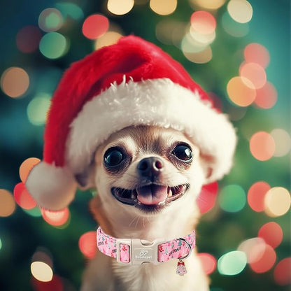 Christmas Dog Collar for Puppy Small Dogs - Image 2