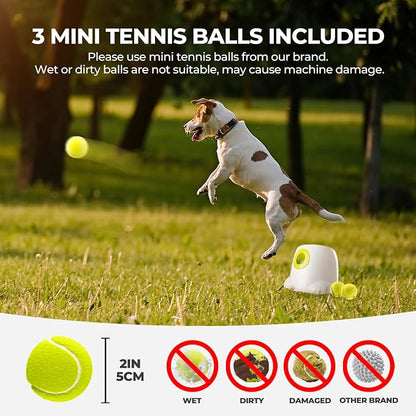 ALL FOR PAWS Original Dog Automatic Ball Launcher for Small and Medium Dogs - Image 5