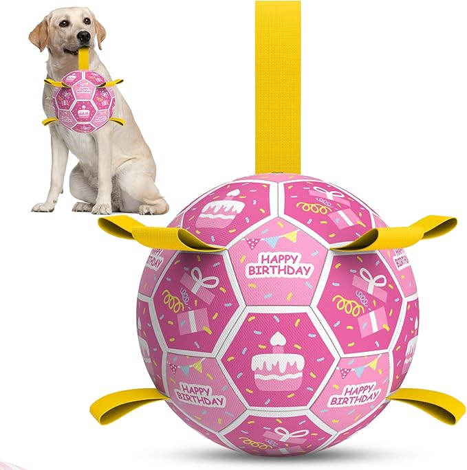 QDAN Dog Birthday Toys, Squeaky Dogs Toys, Dog Soccer Ball by QDAN