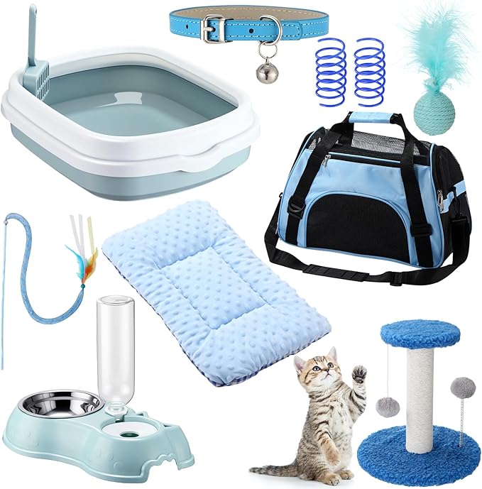 Eccliy Kitten Starter Kit, Pet Toy, Folding Carrier, Climbing Frame, Automatic by Eccliy