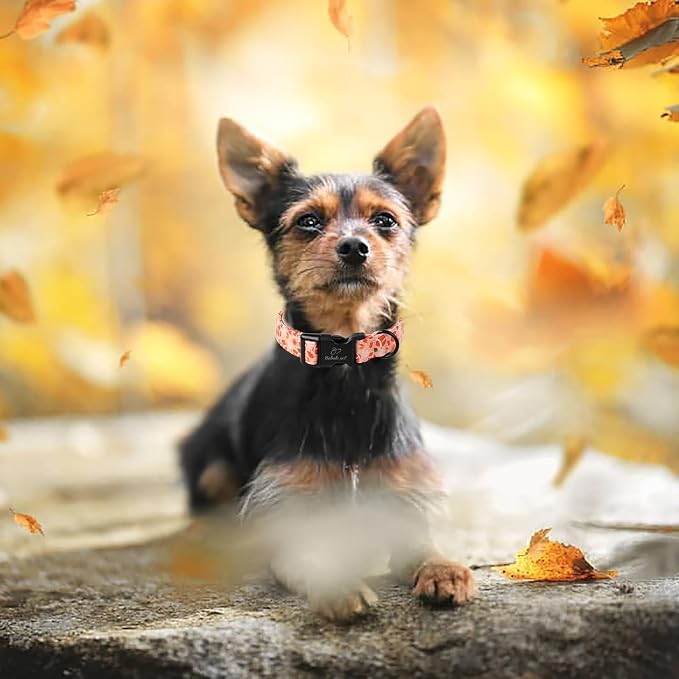 Fall Dog Collar, Cute Football Pattern Puppy Collar - Image 3