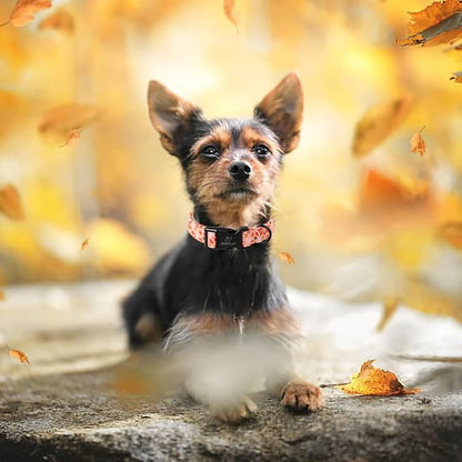 Fall Dog Collar, Cute Football Pattern Puppy Collar - Image 3
