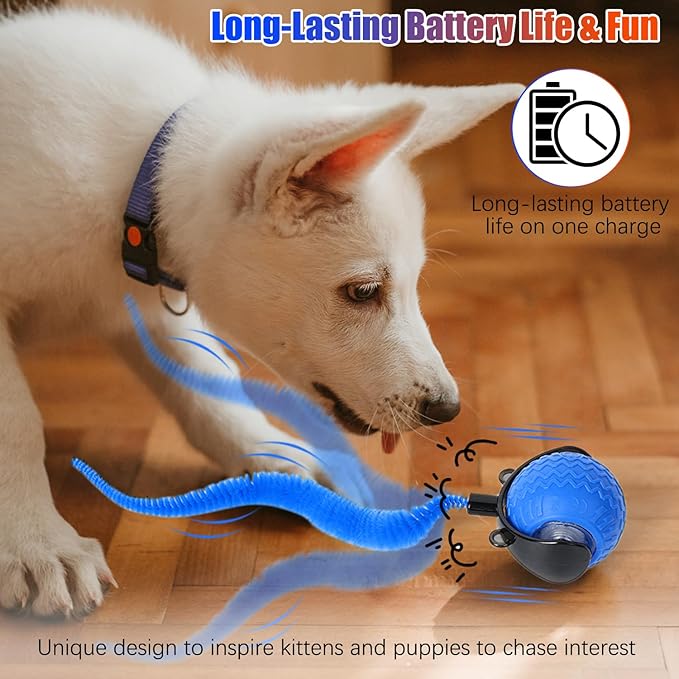 2PCS Interactive Cat Toy for Indoor Cats, Speedy Ball - Image 5