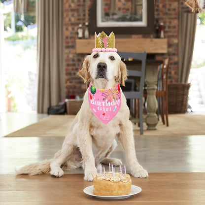 ADOGGYGO Dog Bandana Hat Set for Birthday Party Supply, Boy Girl Pet Birthday - Image 2