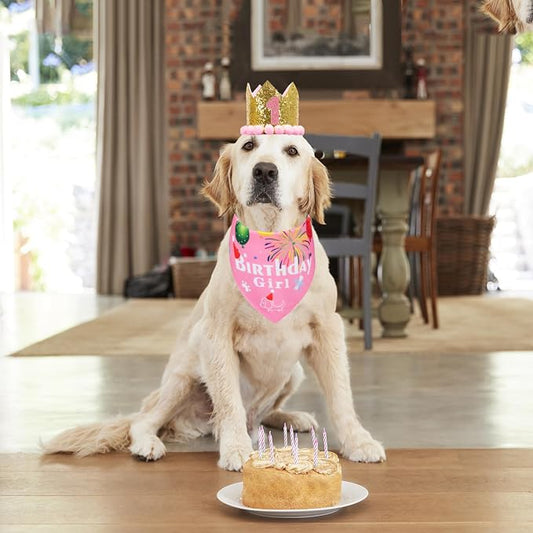 ADOGGYGO Dog Bandana Hat Set for Birthday Party Supply, Boy Girl Pet Birthday - Image 2