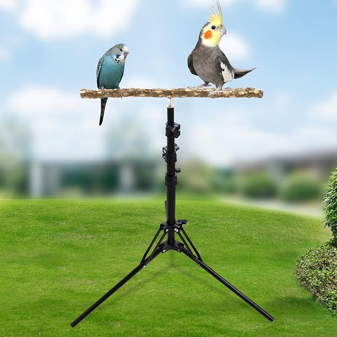 Wooden Bird Perch Stand with a Height Adjustable Tripod, Bird Training - Image 6