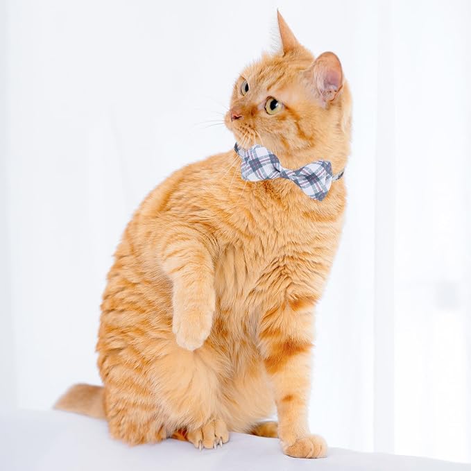 Breakaway Cat Collar with Removable Bow Tie and Bell, Cute Multi-Style Patterns - Image 6