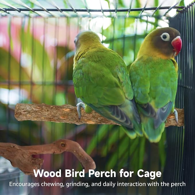 5 PCS Wood Bird Perches, Natural Grape Wood Branches - Image 2