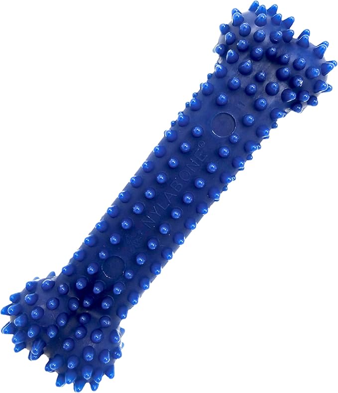 Nylabone Textured Dental Bone Flexi Chew Toy by Nylabone