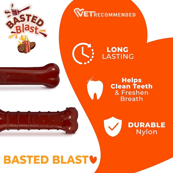 Nylabone Original & Textured Bone Power Chew Toy - Image 4