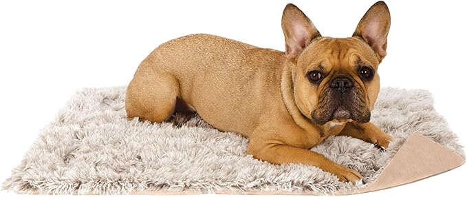 Furhaven Waterproof Throw Blanket - Image 5