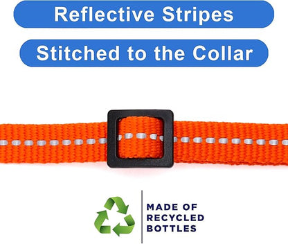Pawtitas Recycled Orange Reflective Cat Collar – Eco-Friendly Breakaway Safety - Image 4