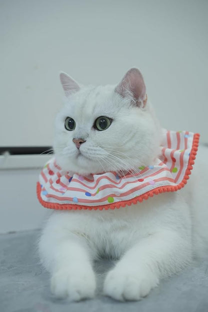 Cat Dog Birthday Bandana Scarf and Party Hat Cute Polka dot and Stripe Bib - Image 5