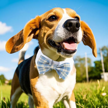 Segarty Dog Bow Tie Neck Girth 10.2-12.6in, Adjustable Blue Plaid Bowtie Collar - Image 6