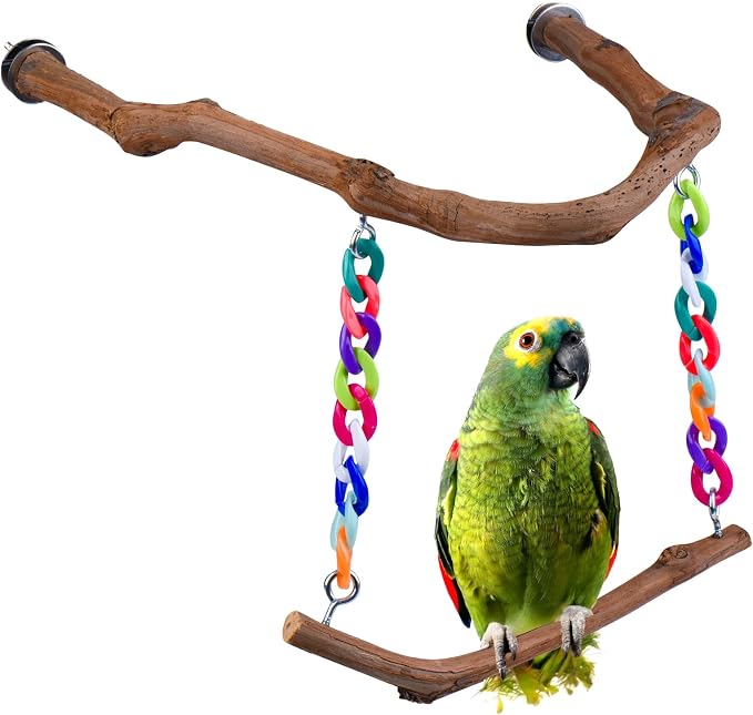 Bird Swing Toys, Standing Bird Perch by Matutinus