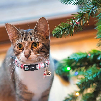 ARING PET 2 Pack Cat Collar, Christmas Breakaway Kitten Small Collars - Image 3