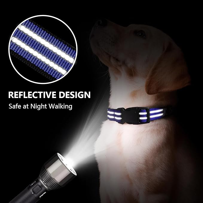 Martingale Dog Collar, Adjustable Nylon Reflective Collar - Image 2