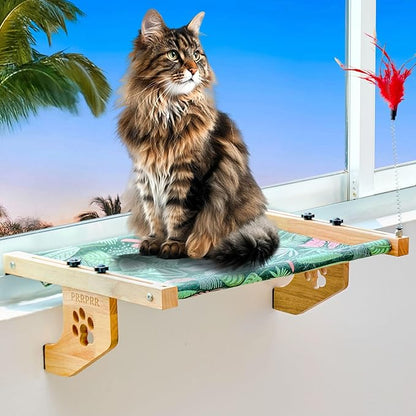 Cat Window Perch for Large Cats Inside, Sturdy Cat Window Hammock Seat by PawtyPets