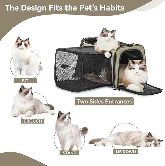 Petsfit 19"X12" X12" Expandable Pet Carrier, Square Expansion Reduces Pet - Image 7