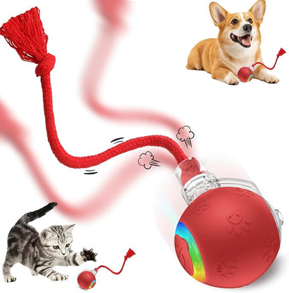 FUNNYDUCK Speed 2.0 Tail Interactive Cat Toys by Unknown