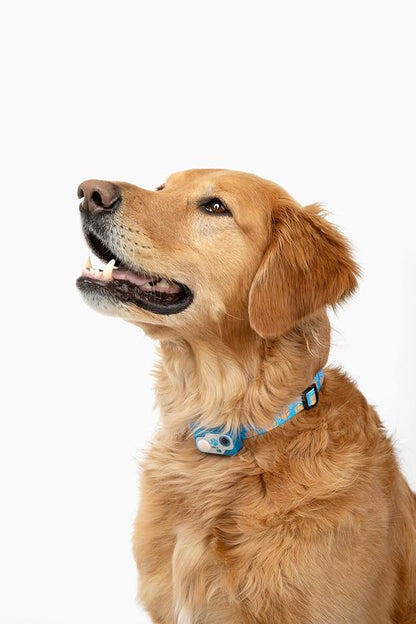 MS-5 Designer Series, Premium Performance Automatic Pet Door Collar by High - Image 2