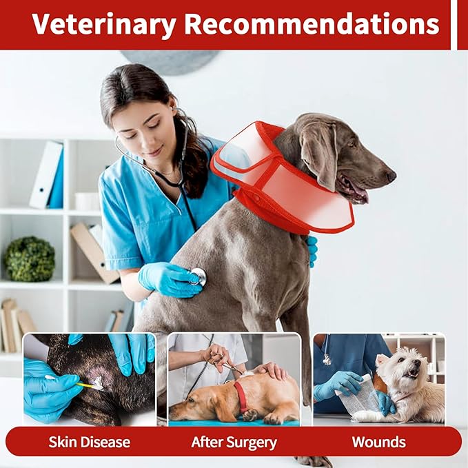 Allroaring Dog Cone Collar After Surgery, Soft Dog Cones - Image 6
