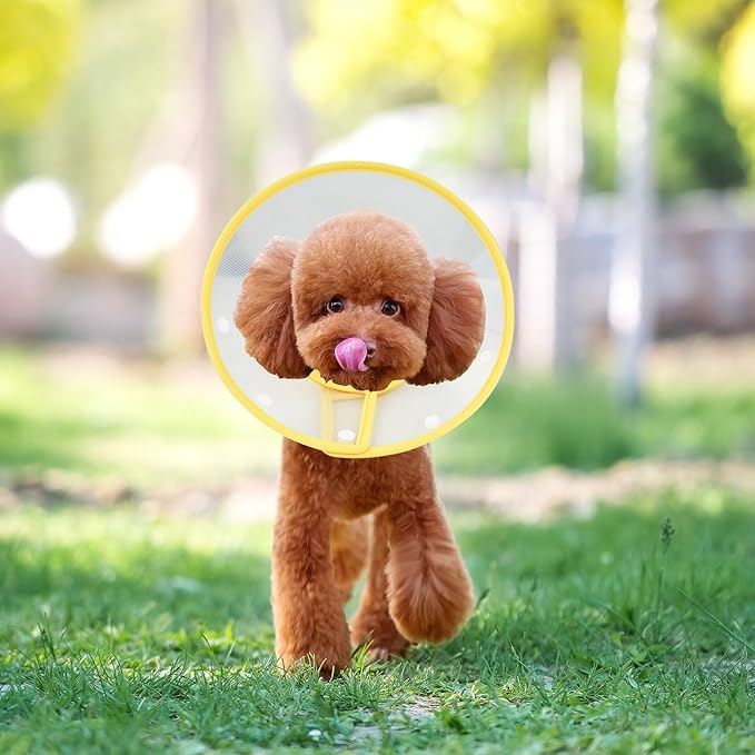 Pet Cone Recovery Dog Cone Adjustable Dog Collar Clear Padded Collar - Image 5