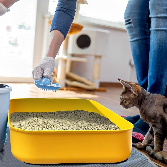Small Litter Box, Plastic Kitten Litter Box, 13.9 x 9.8 x 3 Inch Open Litter Box - Image 6