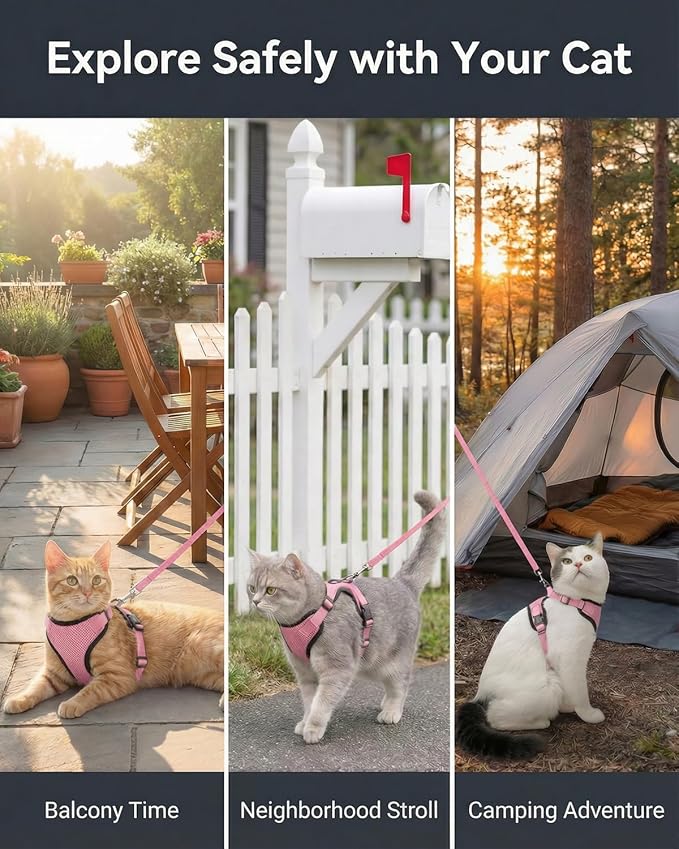 Luxelle 2 Pack Escape-Proof Cat Harness and Leash Set - Image 7