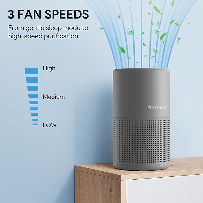FULMINARE Air Purifiers for Home H13 True HEPA Air Filter Quiet Air Cleaner - Image 6