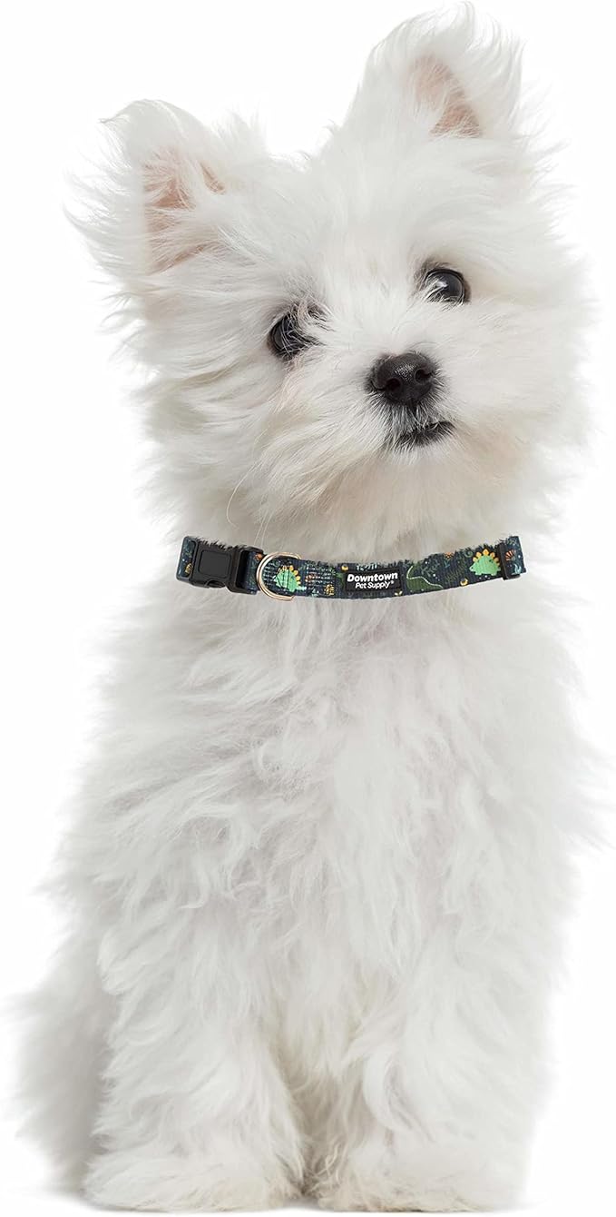 Downtown Pet Supply - Image 4