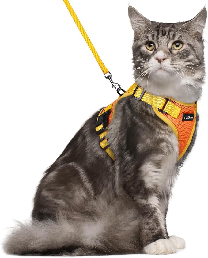 rabbitgoo Cat Harness and Leash Set, Escape Proof Soft Adjustable Vest Harnesses by rabbitgoo