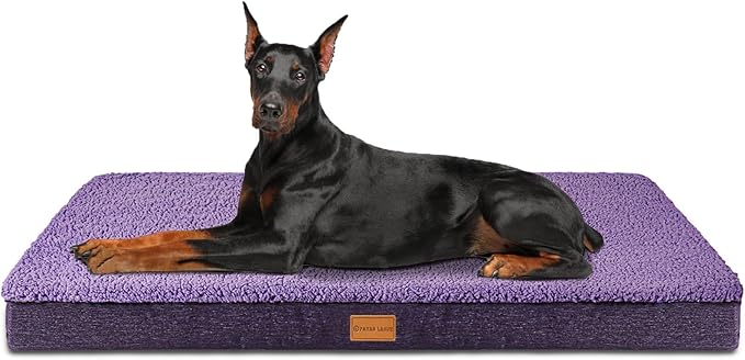 Patas Lague Orthopedic Jumbo Dog Bed by PatasLague