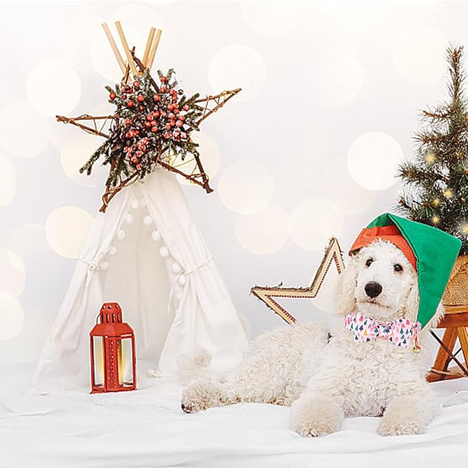 Christmas Dog Collar - Image 6