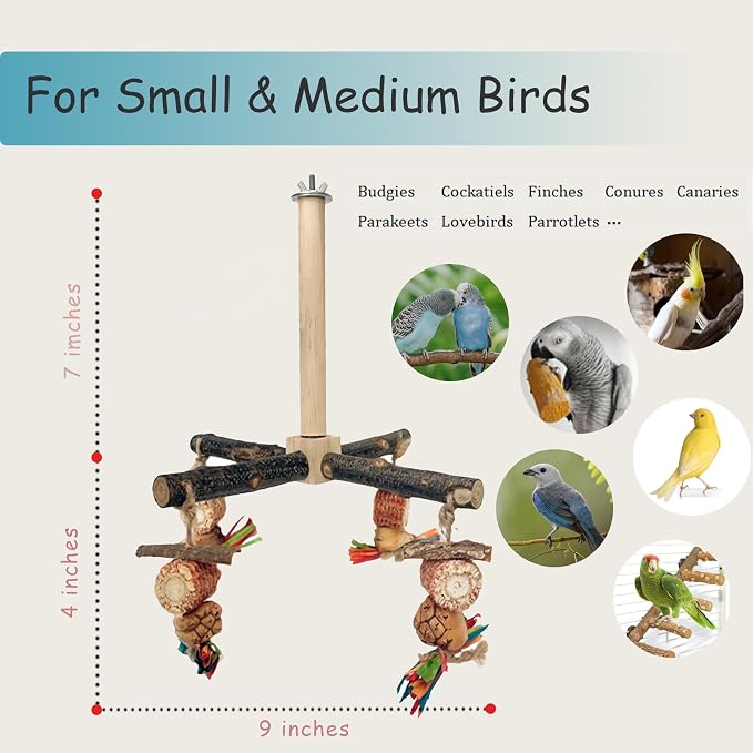 Bird Perch 360° Rotating Perch - Image 2