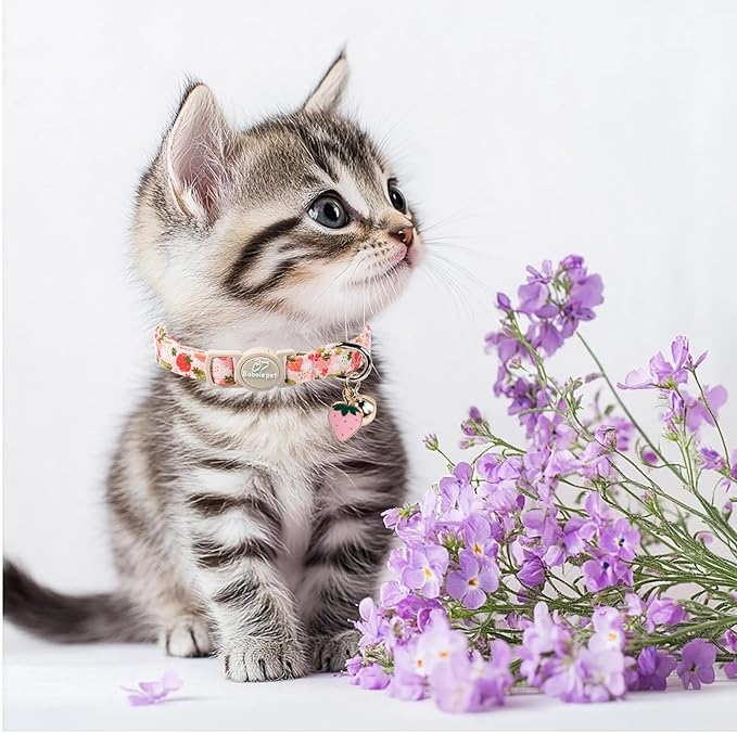 2 Pack Spring Summer Cat Collars - Image 5